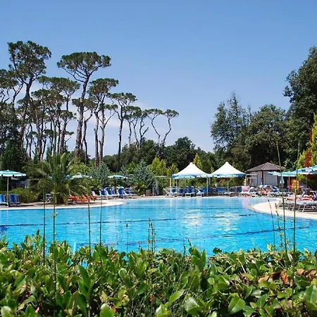 Comfortable Campsite-chalet G10 Tuscany Near Sea *