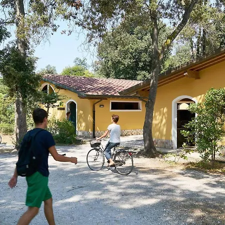 Alpehytte Comfortable Campsite-chalet G10 Tuscany Near Sea Viareggio