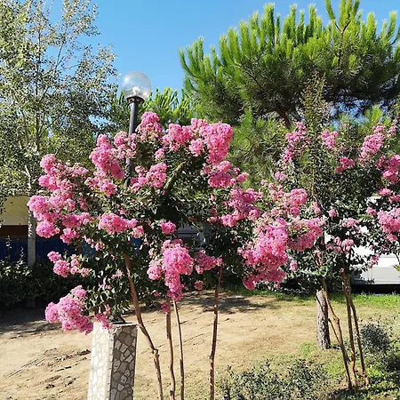 샬레 Comfortable Campsite-chalet G10 Tuscany Near Sea *