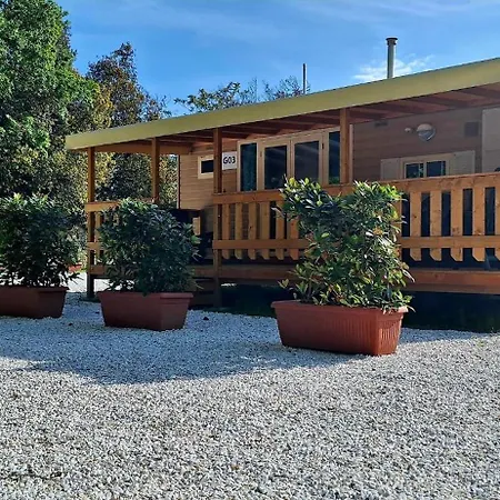 Chalet Comfortable Campsite-chalet G10 Tuscany Near Sea *