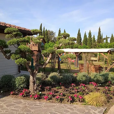 Comfortable Campsite-chalet G10 Tuscany Near Sea 비아레지오